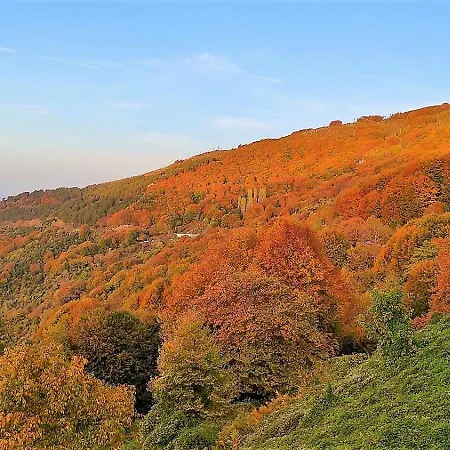 Chania Hotel Chania (Thessaly)