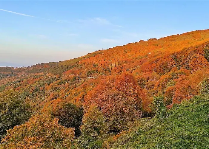 Chania Hotel Chania (Thessaly)